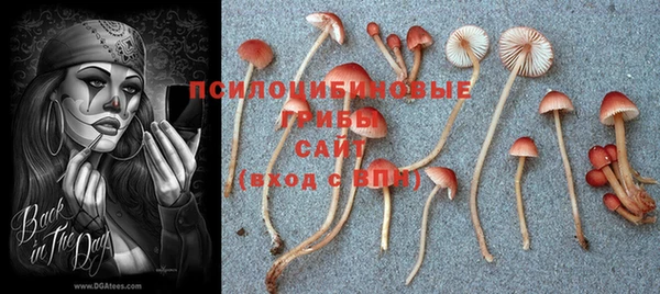 винт Алексеевка