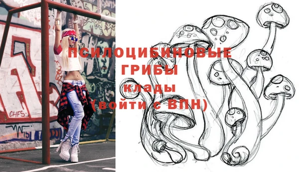 винт Алексеевка